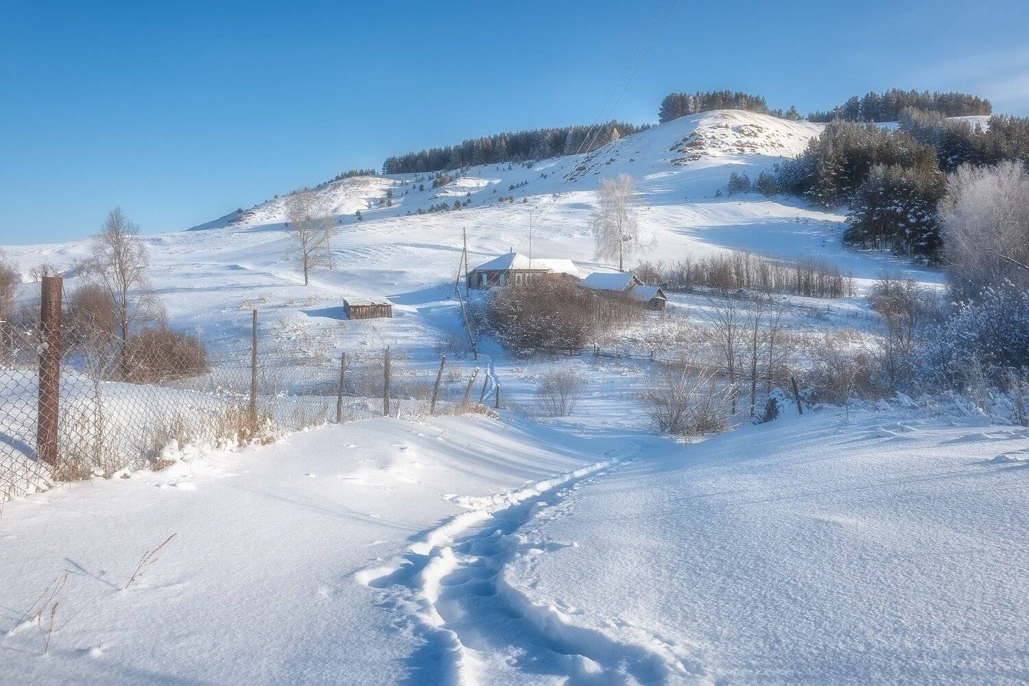 , Алексей Никитин