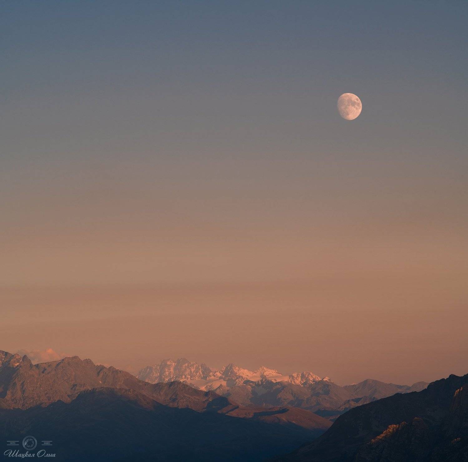 , Ольга Шацкая