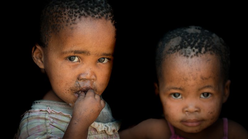 The children of the bushmen фото превью