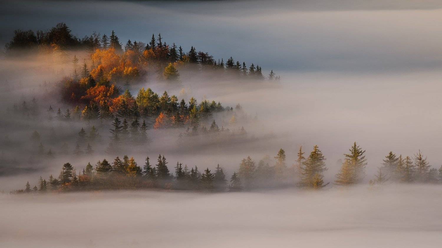 , Stanisław Baraniecki