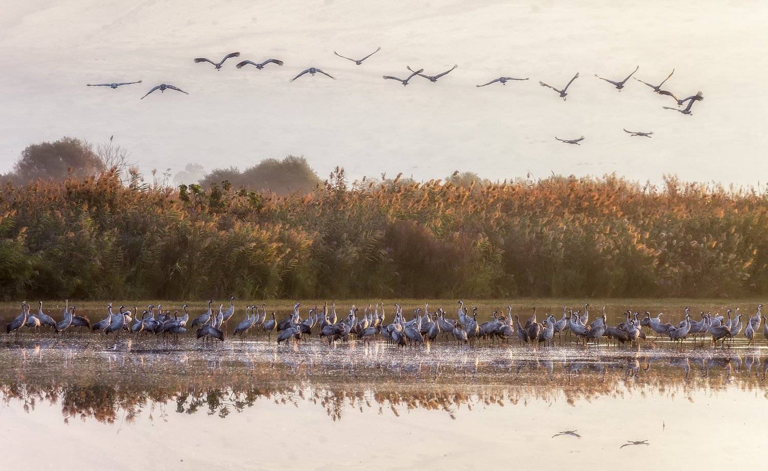 , Григорий Крамаренко