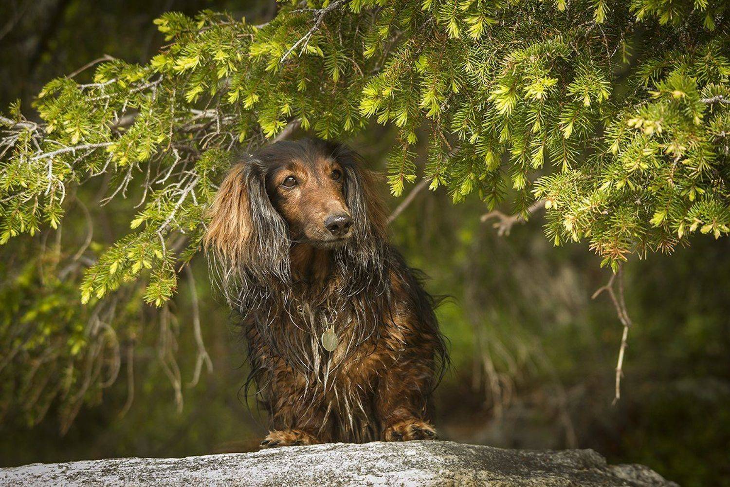 , Андрей Костромин