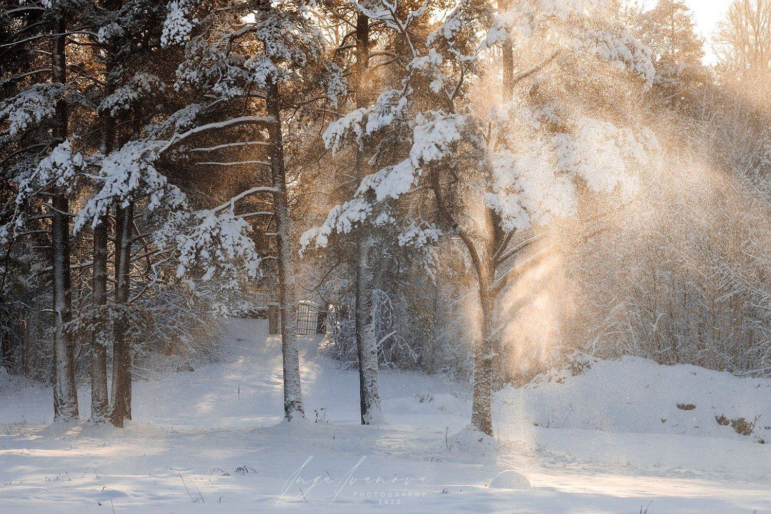 , Инга Иванова