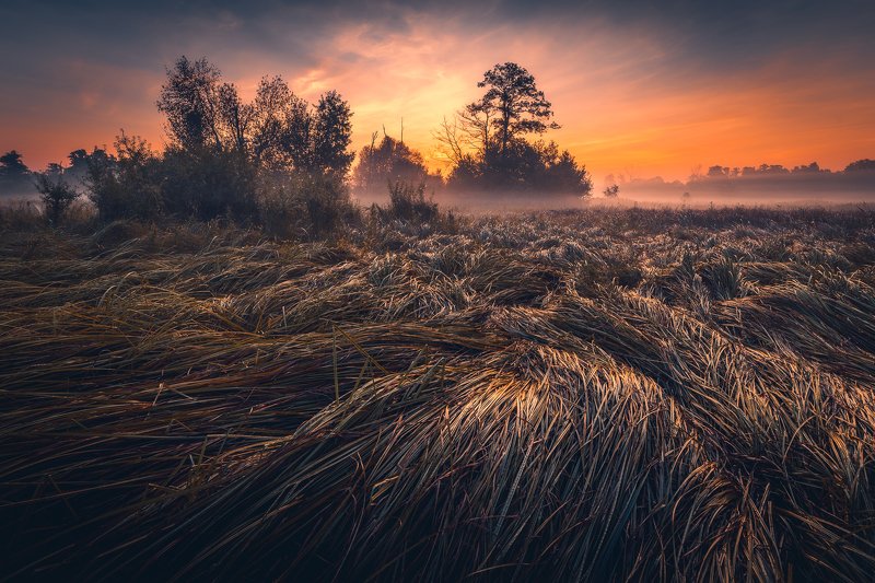 ... фото превью