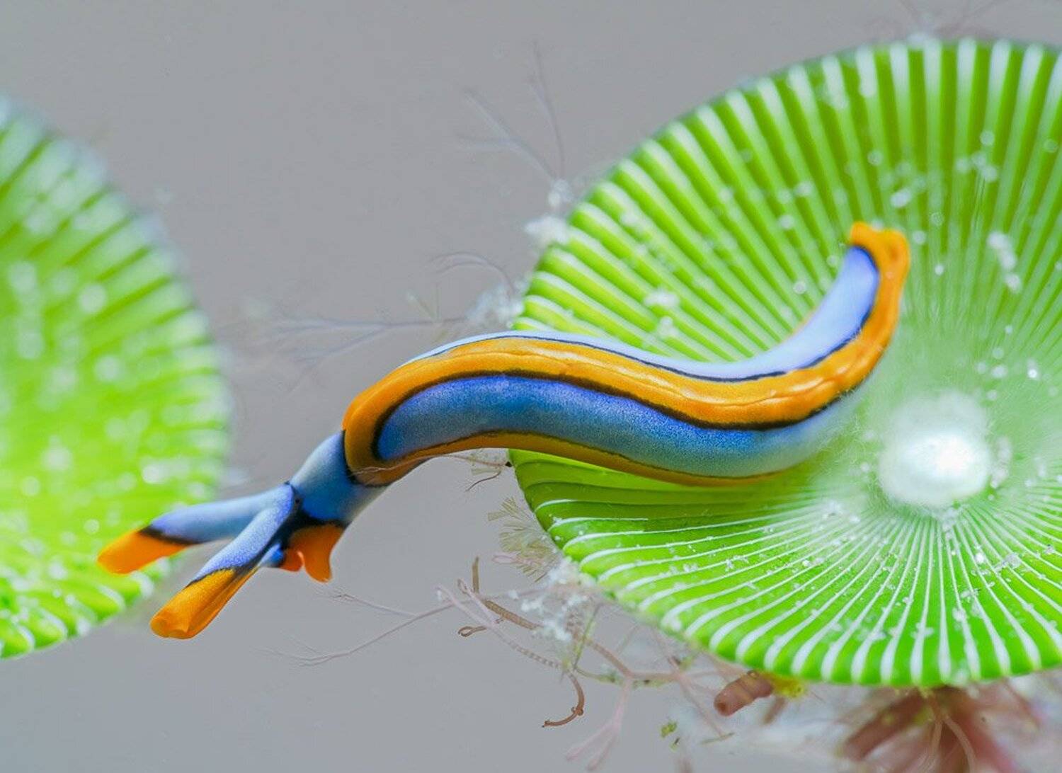 , Андрей Савин