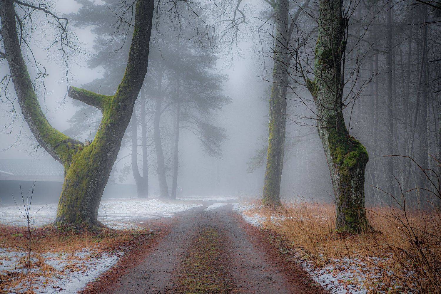 , Руслан Авдевич