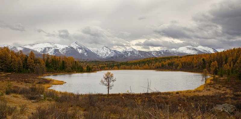 Осенний Алтай фото превью