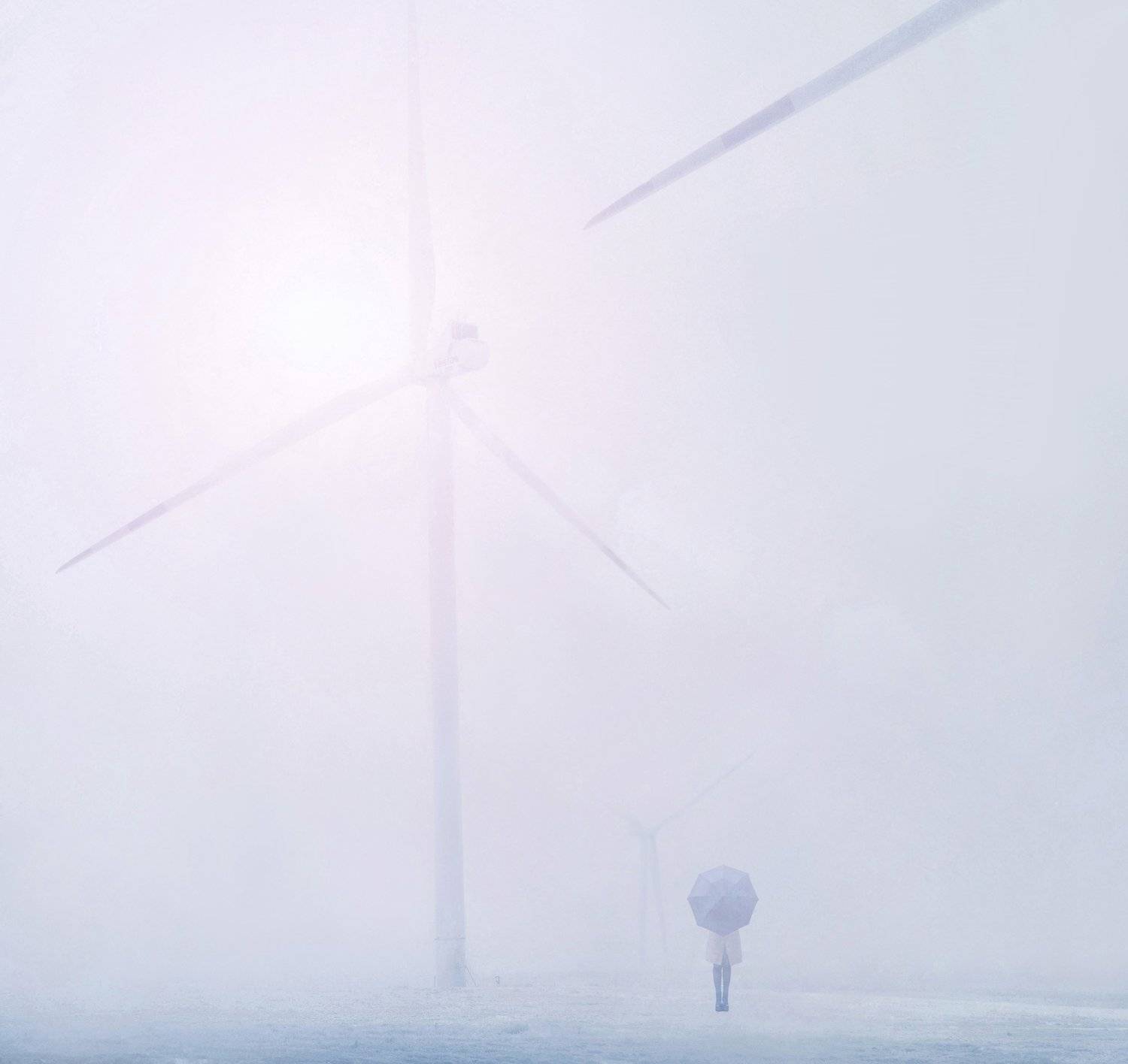 ветропарк,туман,зима,зонт, Мария Буданова