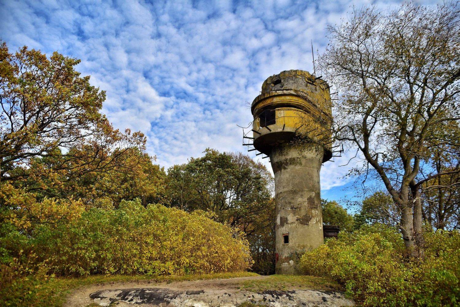 , Владимир Леликов-Кузьменко