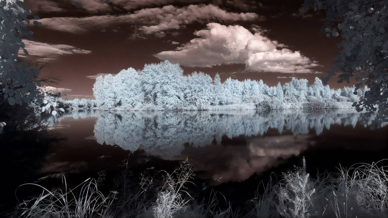 ик -фото, лето, озеро, лес,  Гобова Наталья