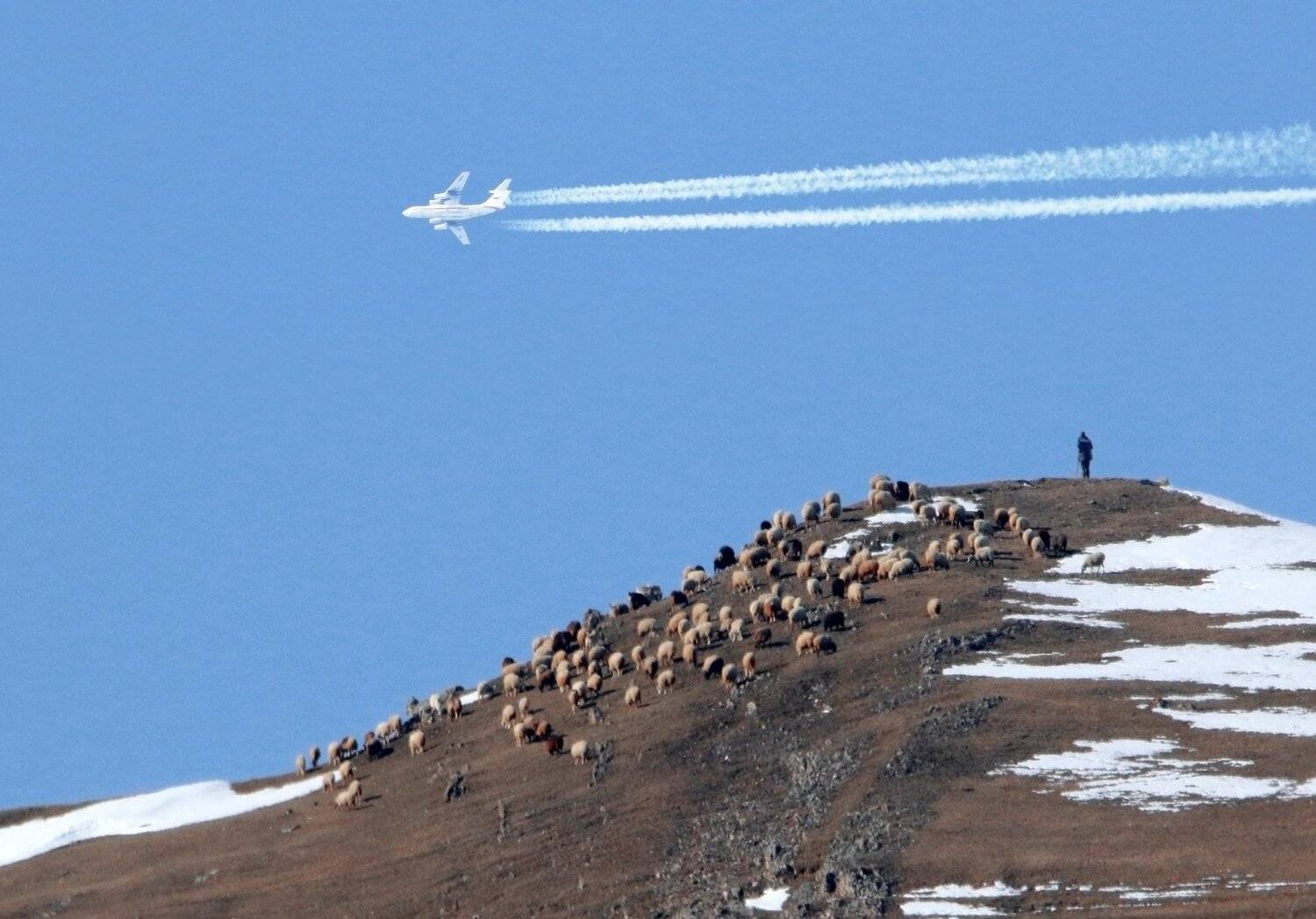 горы,отара,пастух,самолёт,вершины,пейзаж,небо,деревья,дагестан,природа, Marat Magov