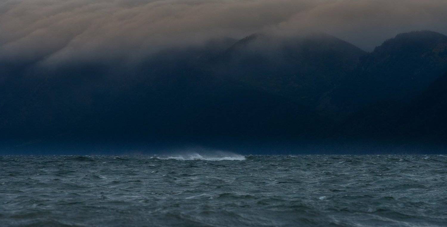 , Алексей Трофимов