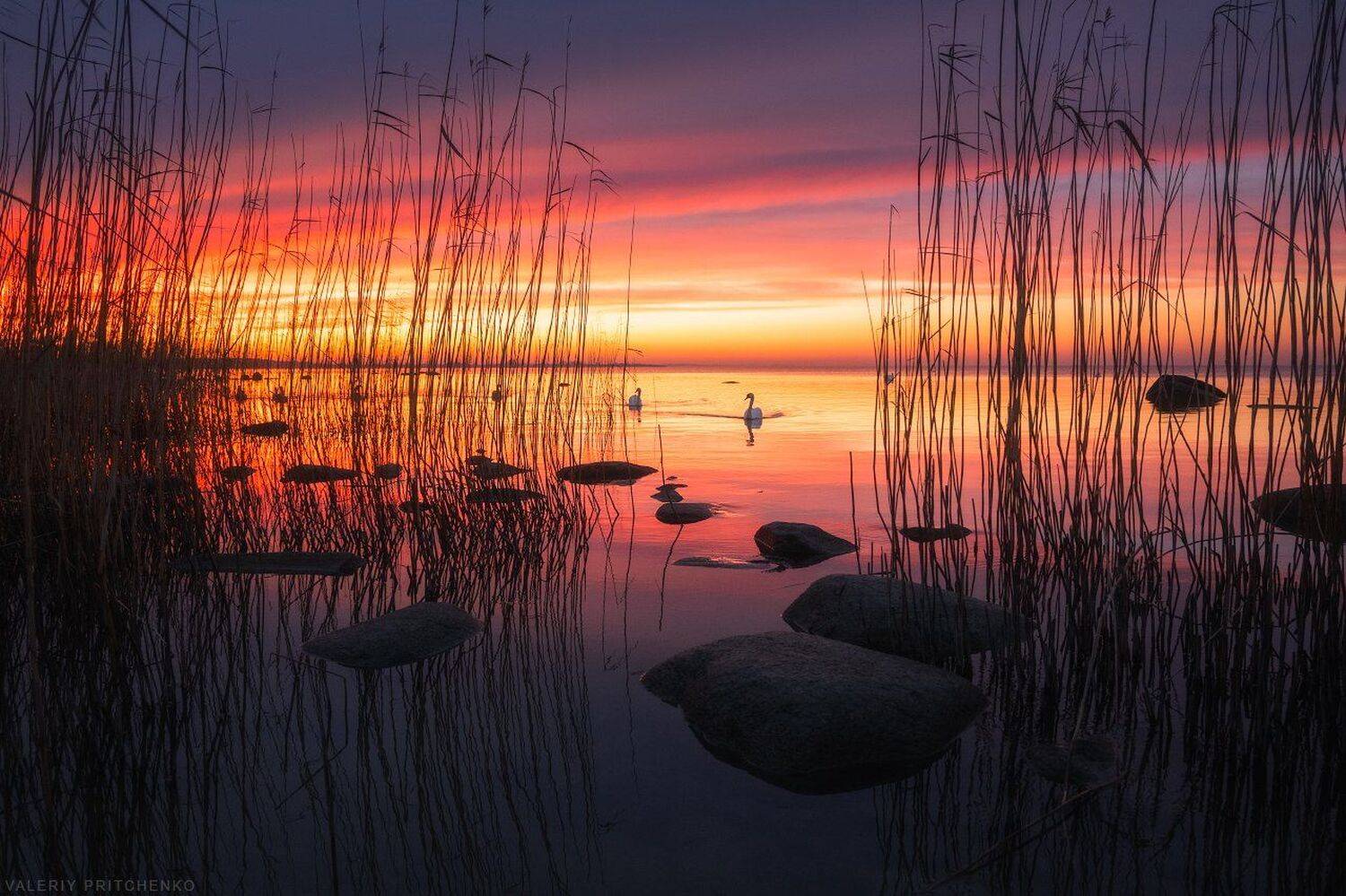 , Валерий Притченко