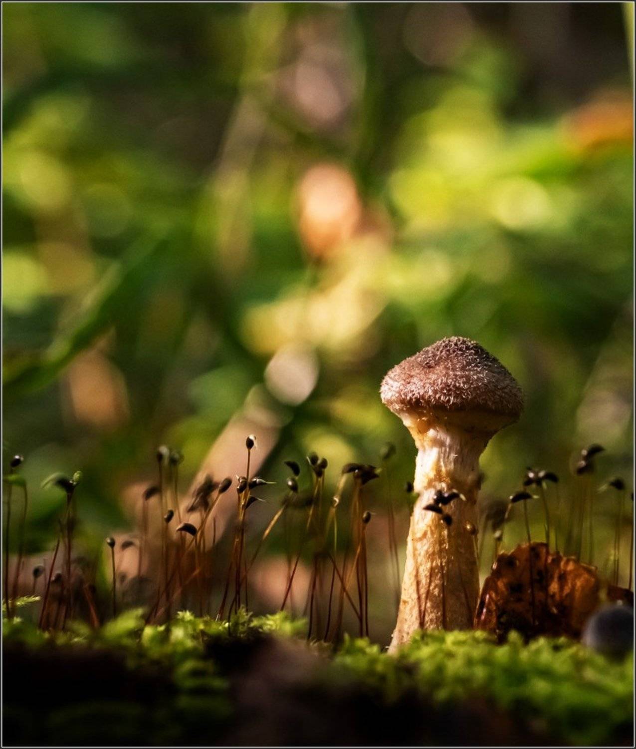 макро, Виктор Парщиков