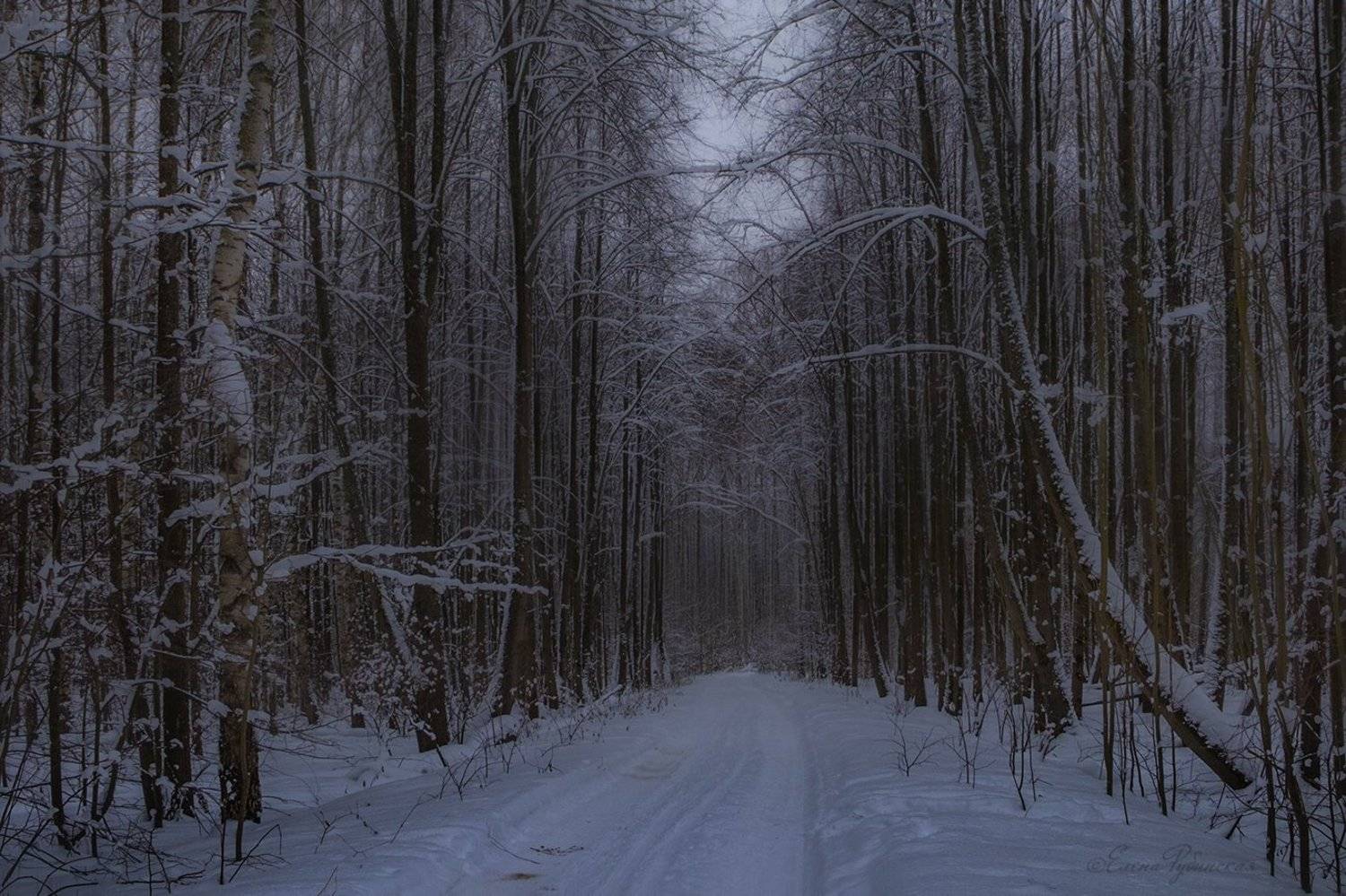 , Елена Рубинская