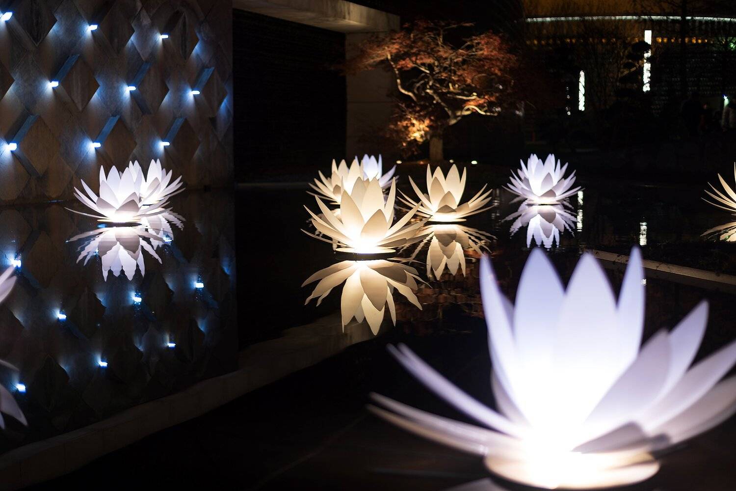 парк, галицкого, Алексей Рыльский