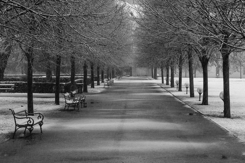 Первый снег фото превью