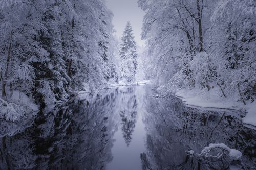 Рощинка в зимнем.