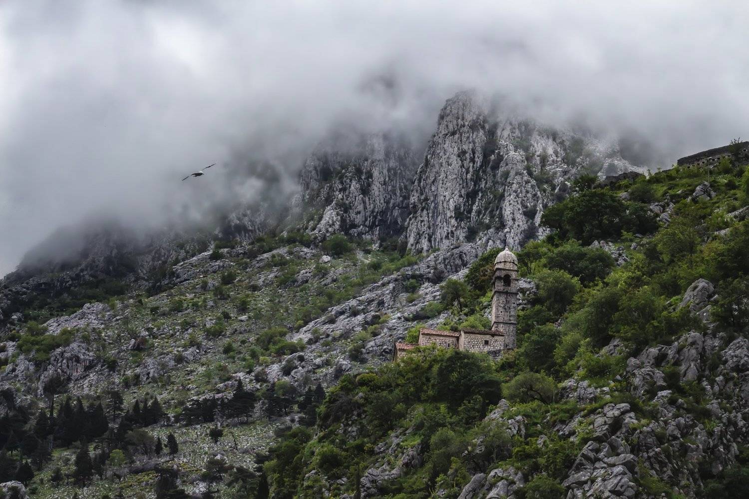 , Бистра Стоименова