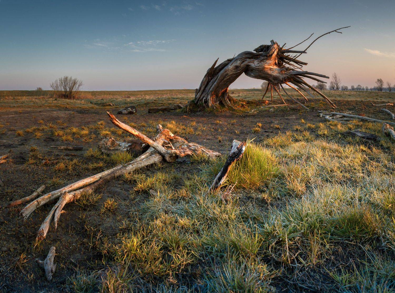 , Marcin Krasowski