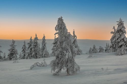 короткий заполярный день