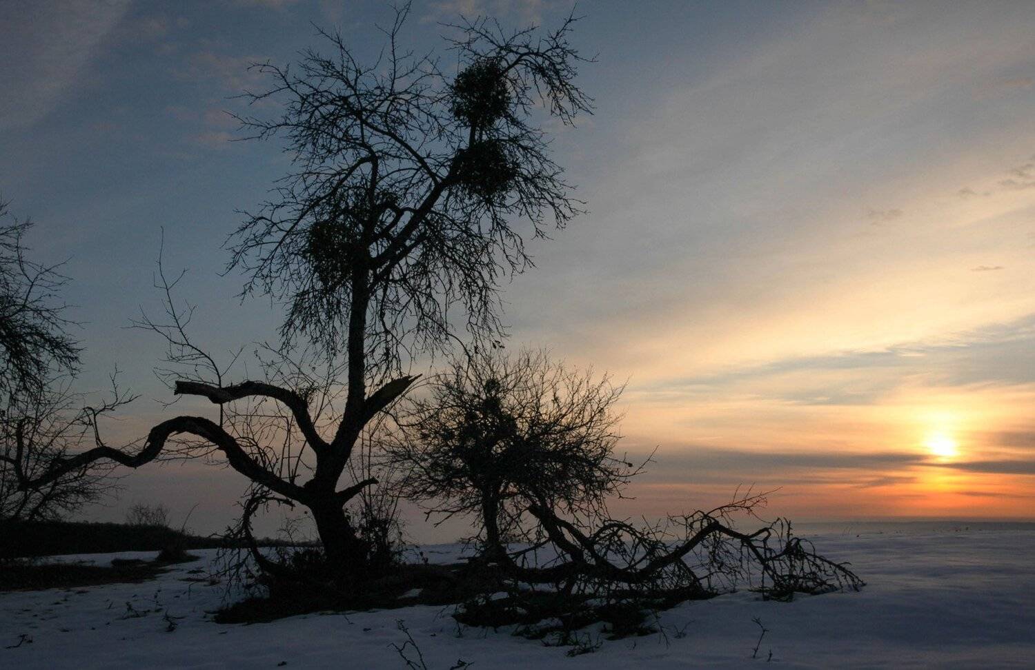 рассвет,горы,вершины,пейзаж,небо,деревья,дагестан,природа, Marat Magov