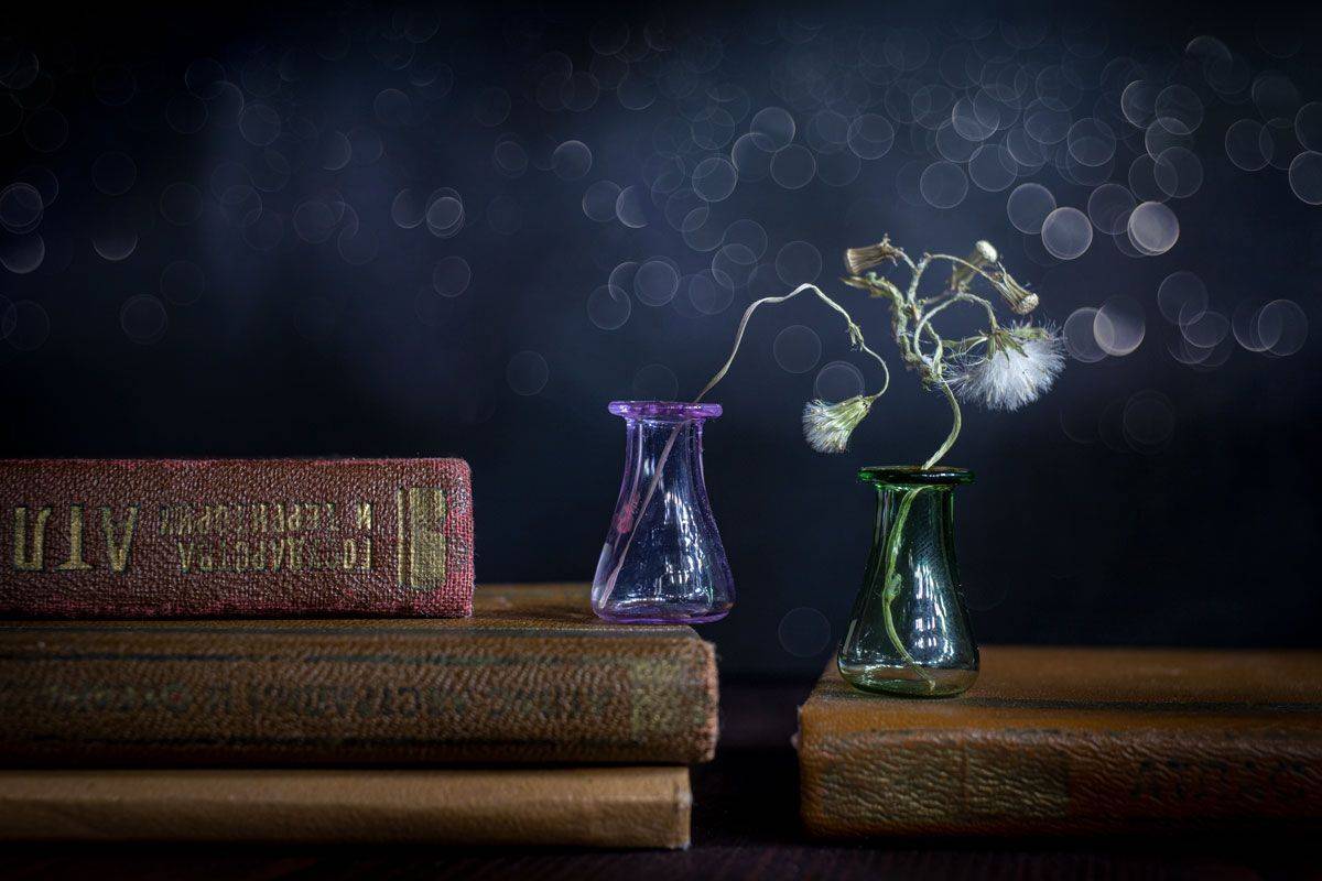 close-up, Игорь Копцев