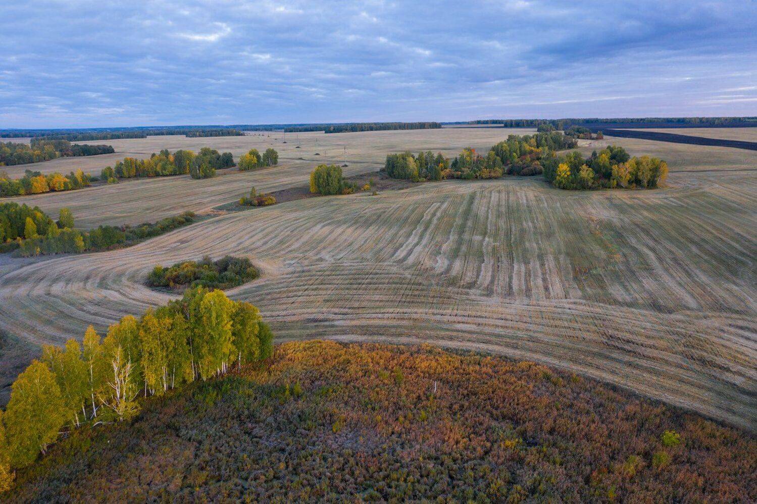 Курганская Шадринск Зауралье, Кутыгин Эдуард