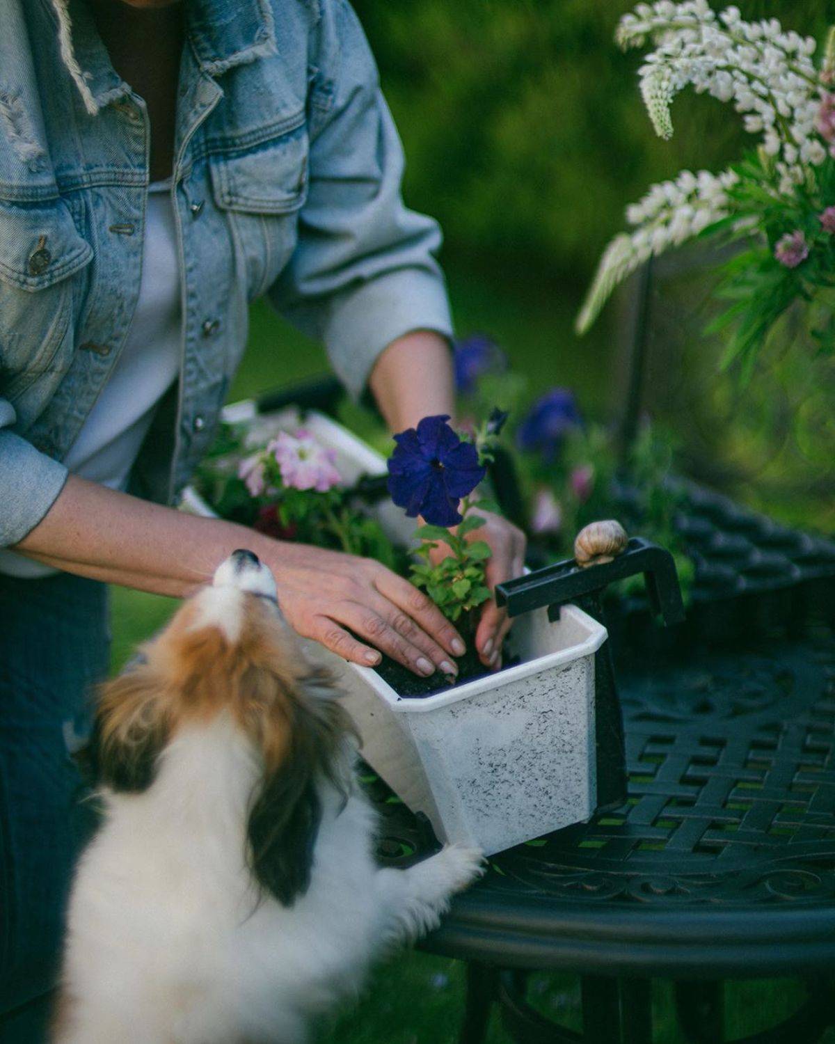 , Анастасия Зубкова