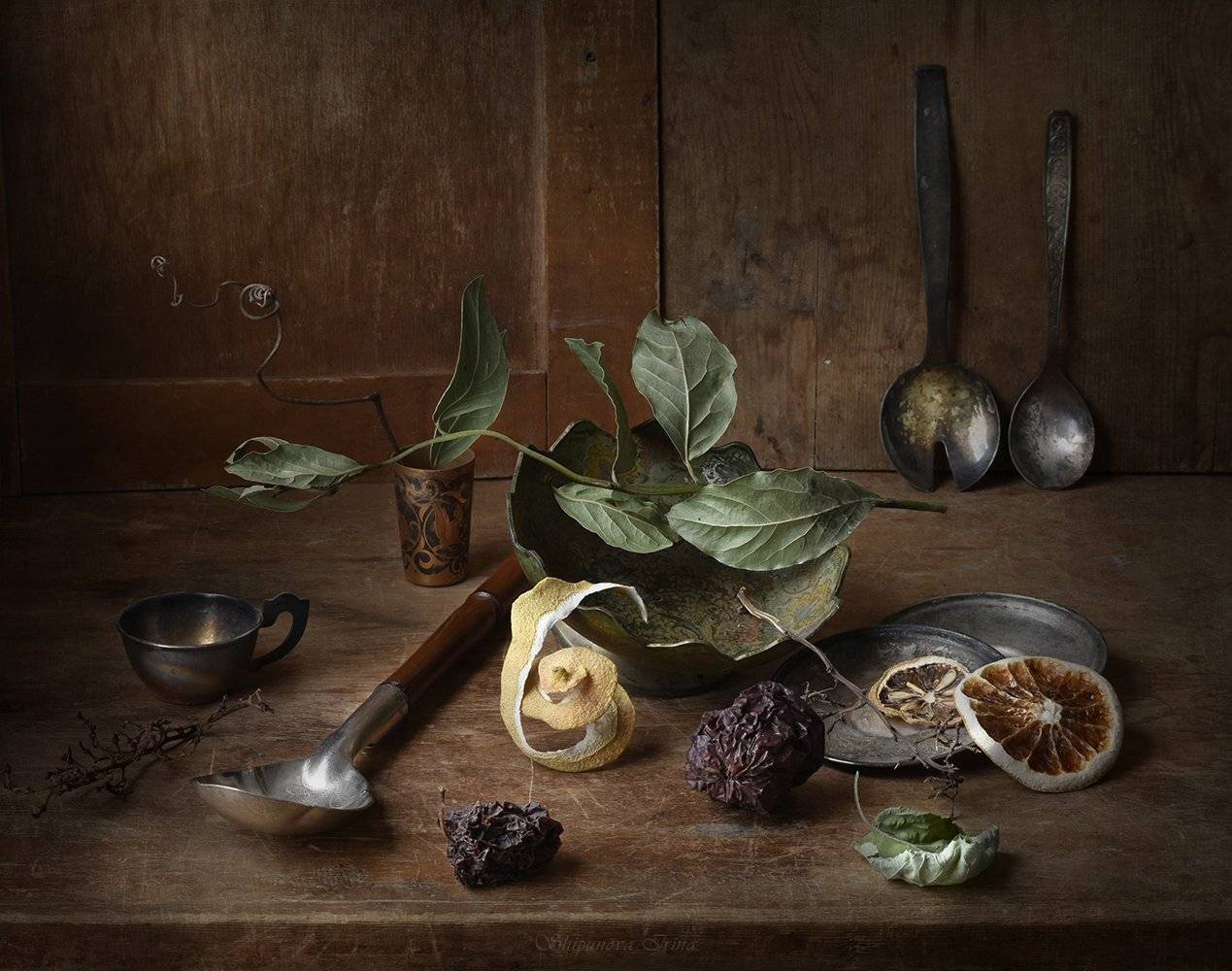 , Шипунова Ирина