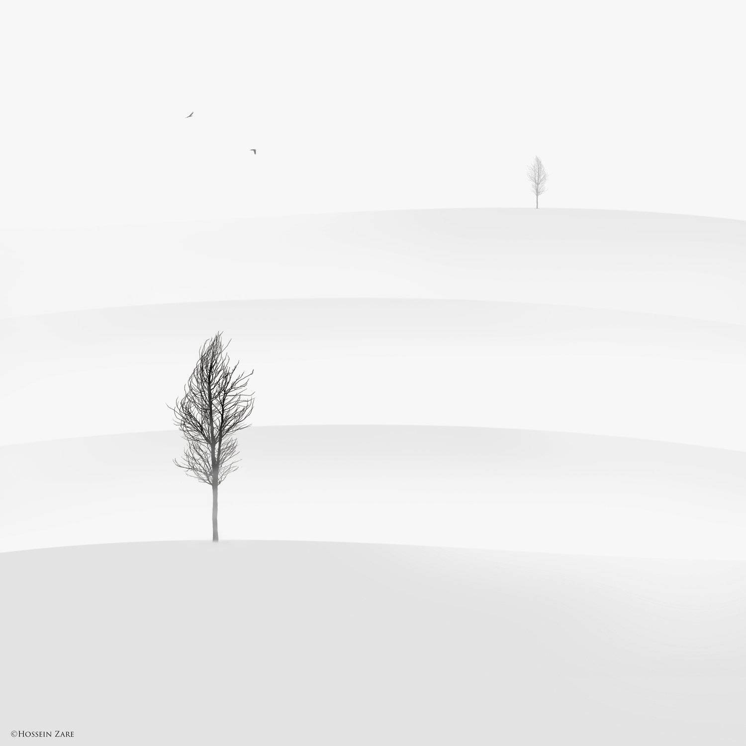, Hossein Zare
