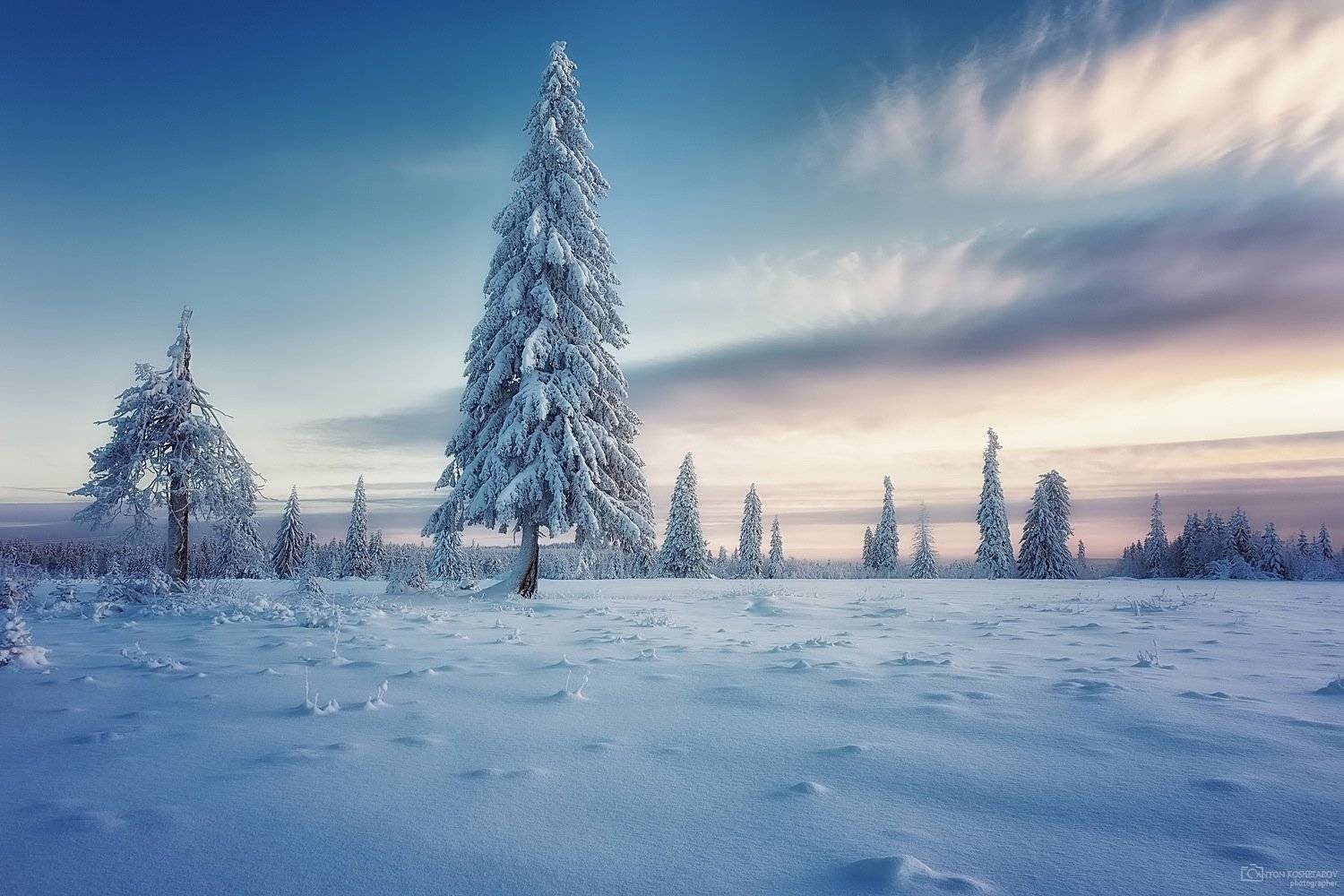 , Антон Кошетаров