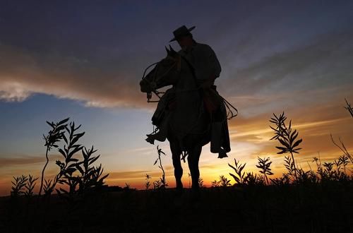 gaucho