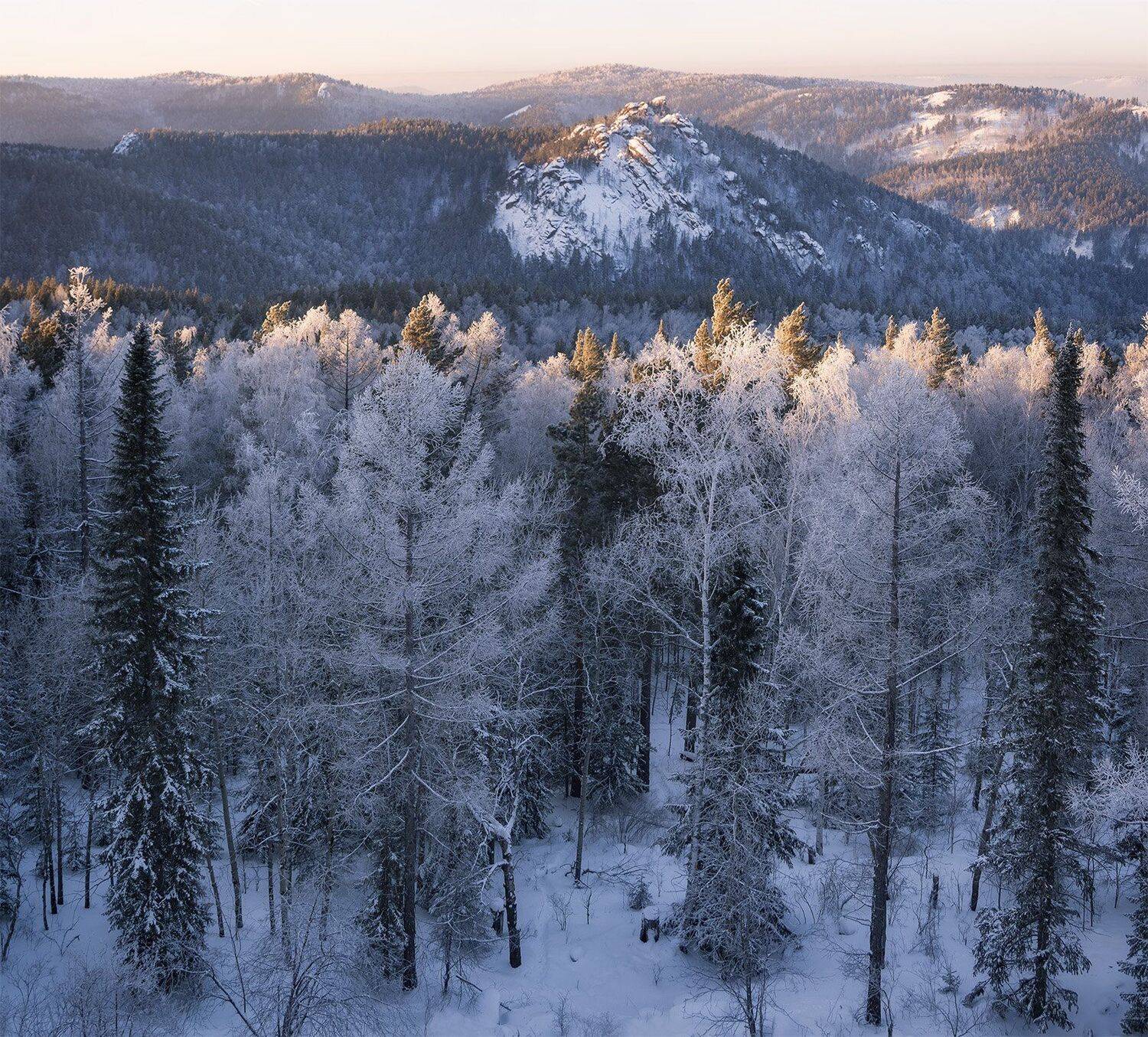 , Лещёнок Александр