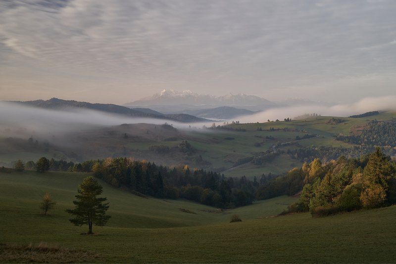 fog,morning,sunrise,mist,hill,hills,autum W7 фото превью