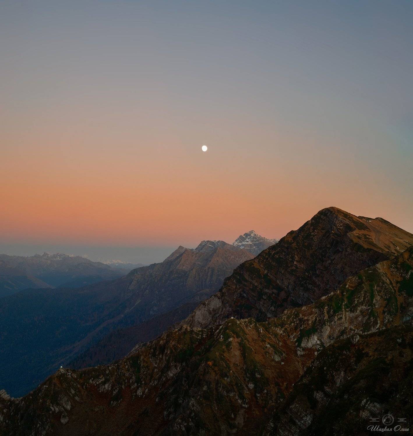 , Ольга Шацкая