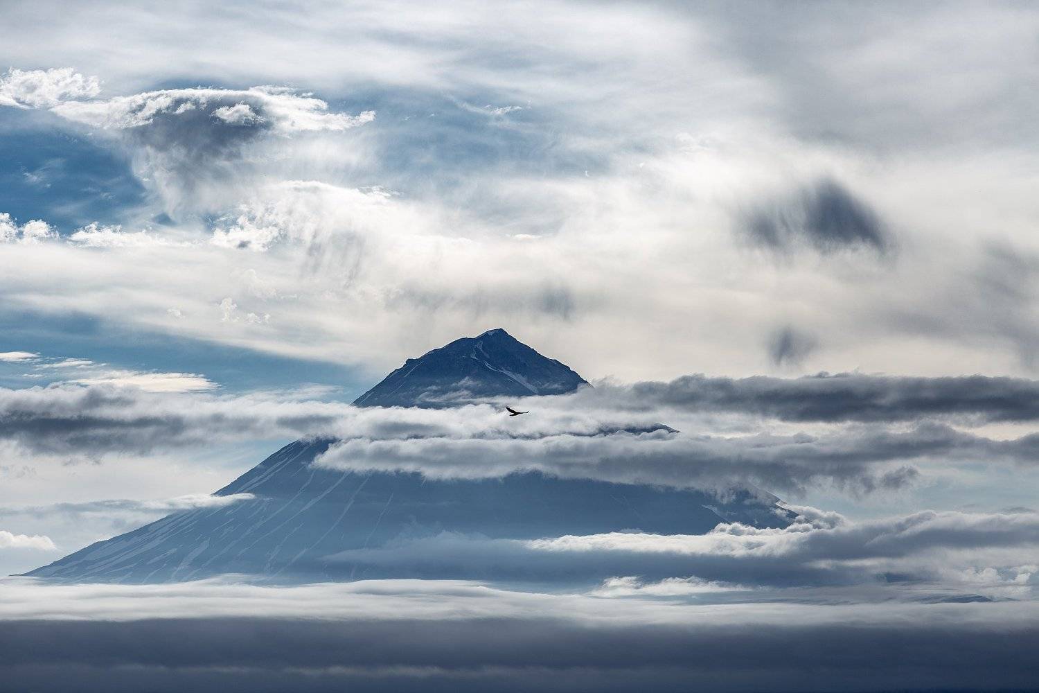 , Александр Максин