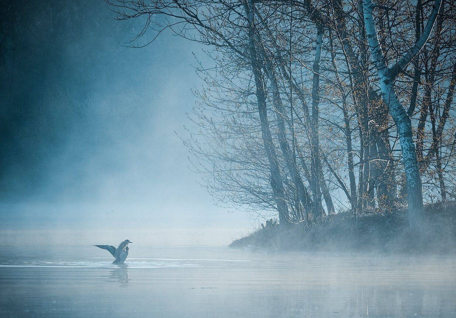 , Robert Adamec