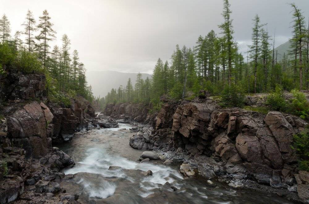 Путорана, р. Хойси, Юсупов Александр