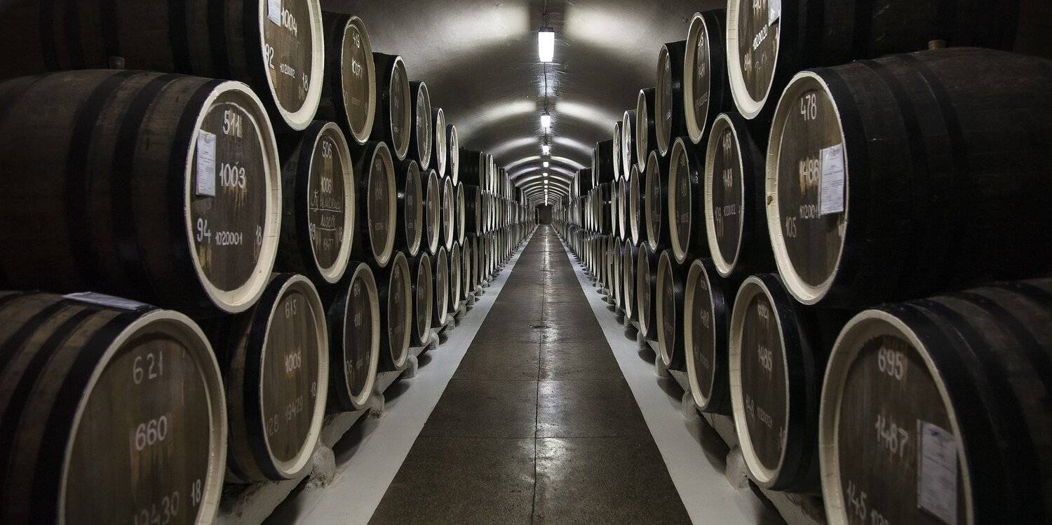 бочки, вино, подвал, коридор, Александр Игнатьев