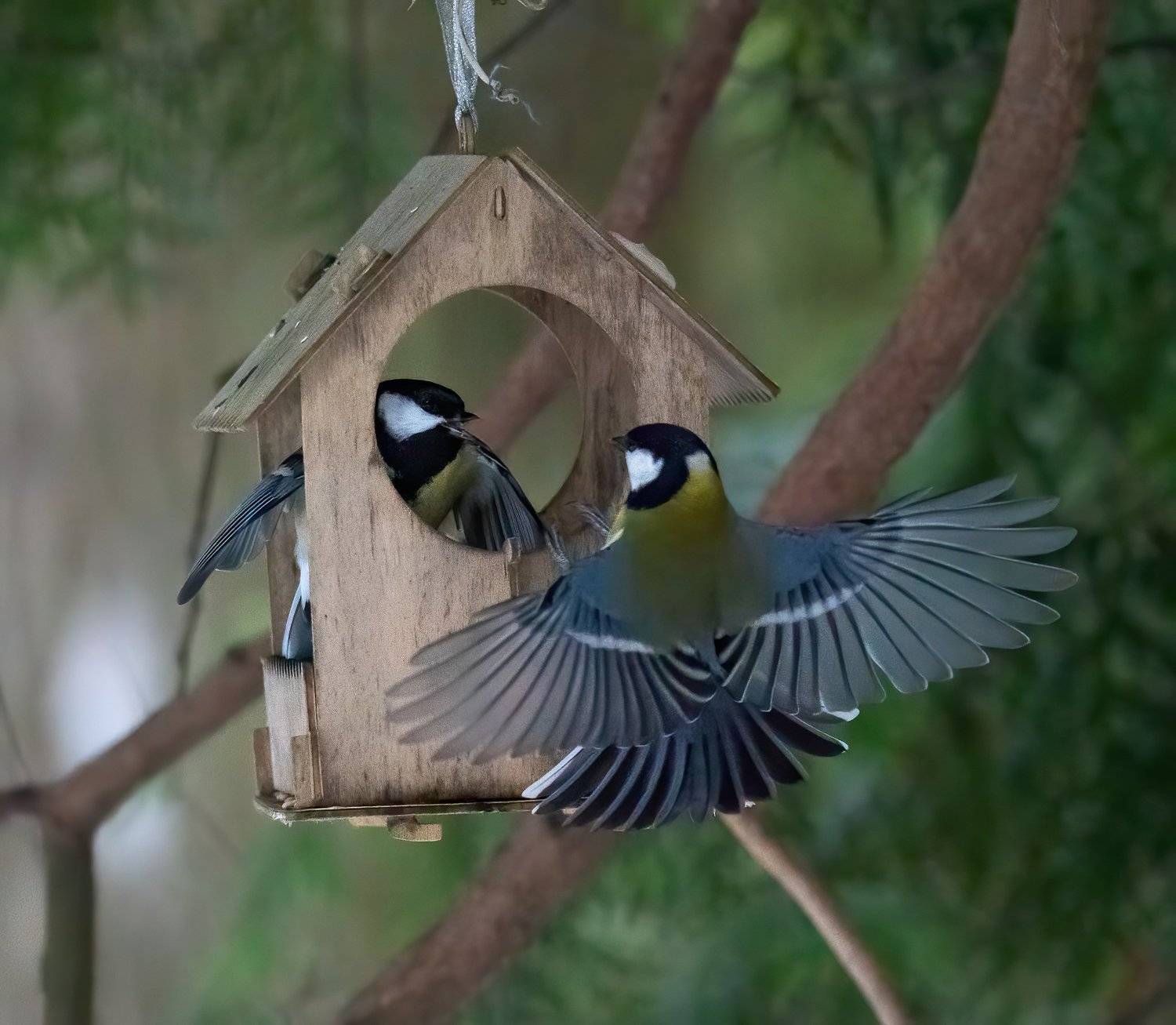 , Константин Дэм