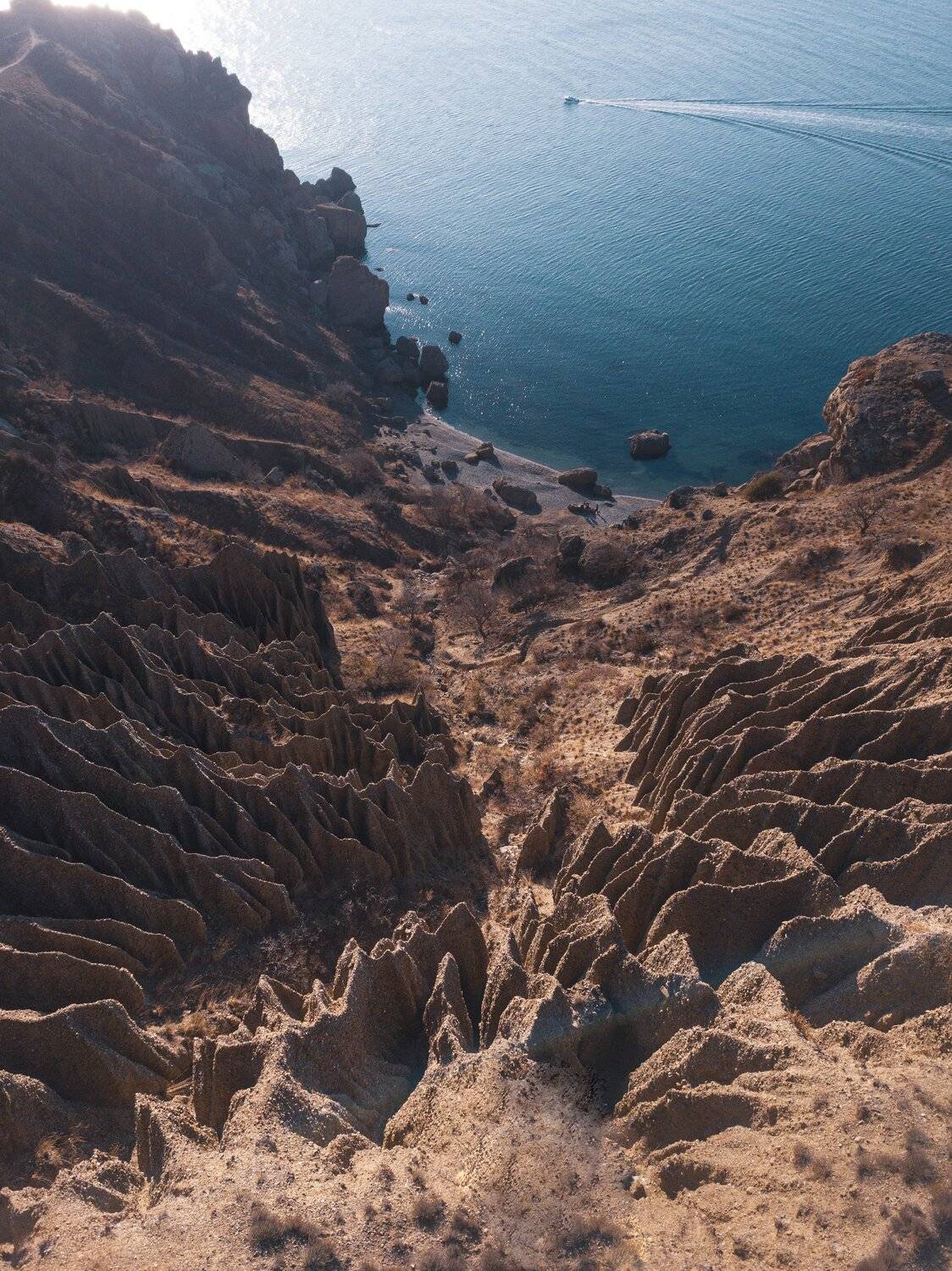 , Андрей Кривцов