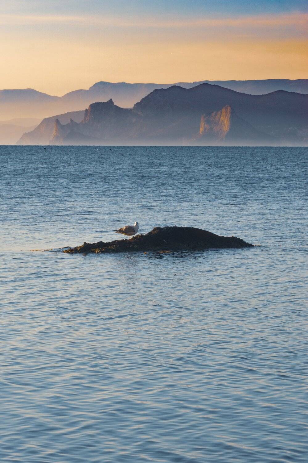 , Андрей Кривцов