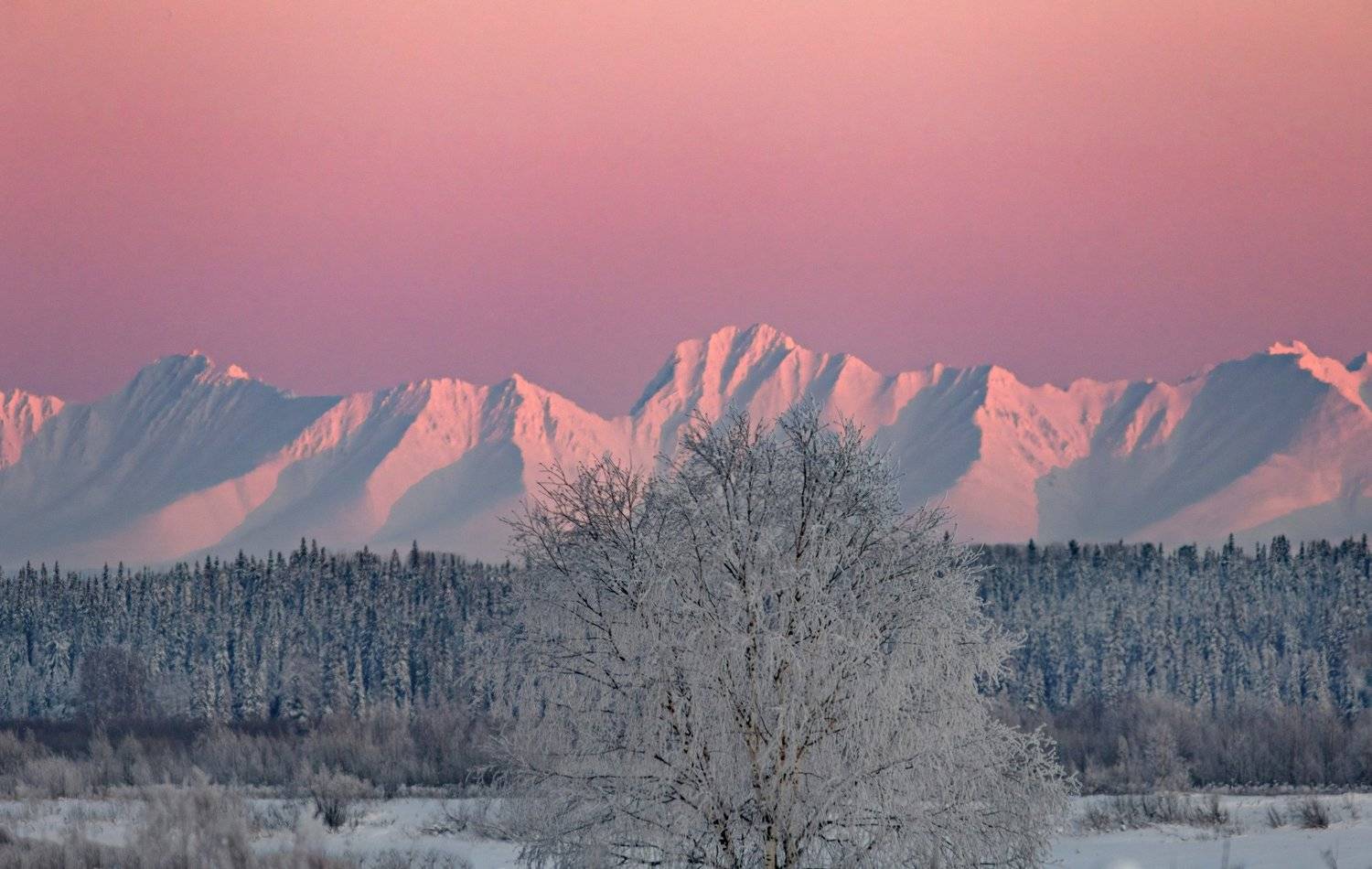 , Игорь Триер