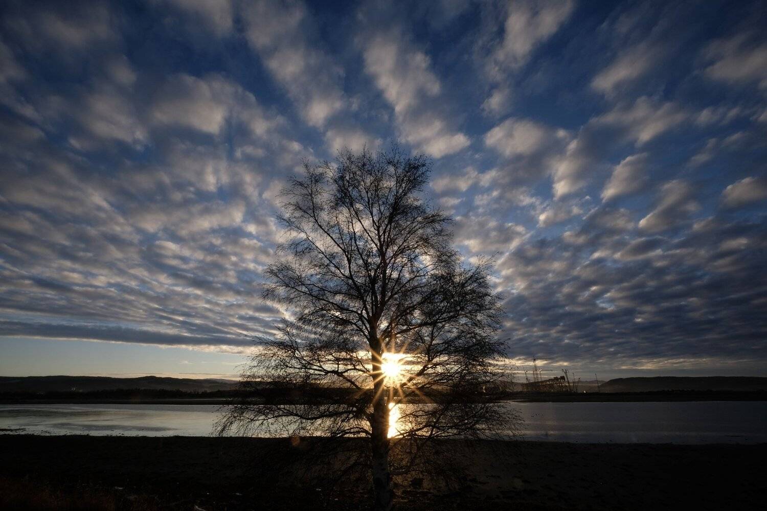 landscape, nature, Norway, clouds, sky, sunlight, light, star, water, fjord, tree, silhouette, colors, , Svetlana Povarova Ree