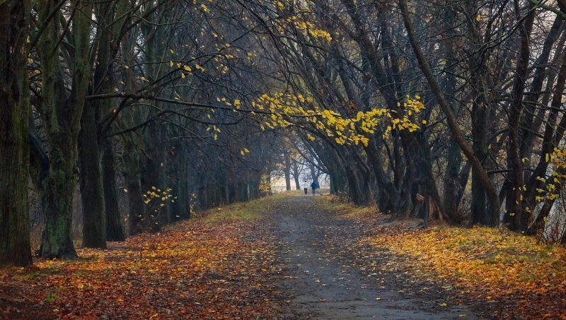 ***** фото превью