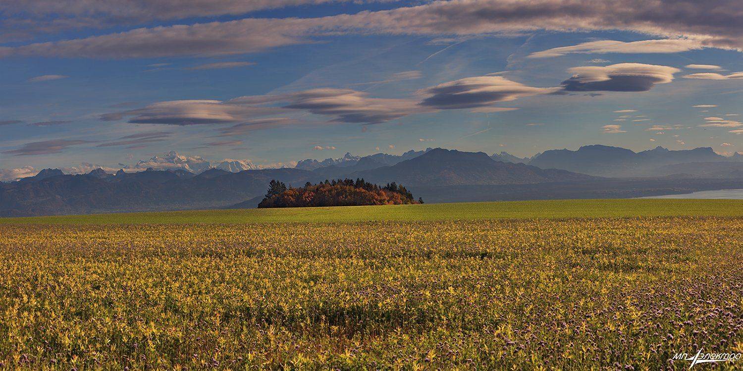 swiss, Матвеев Николай