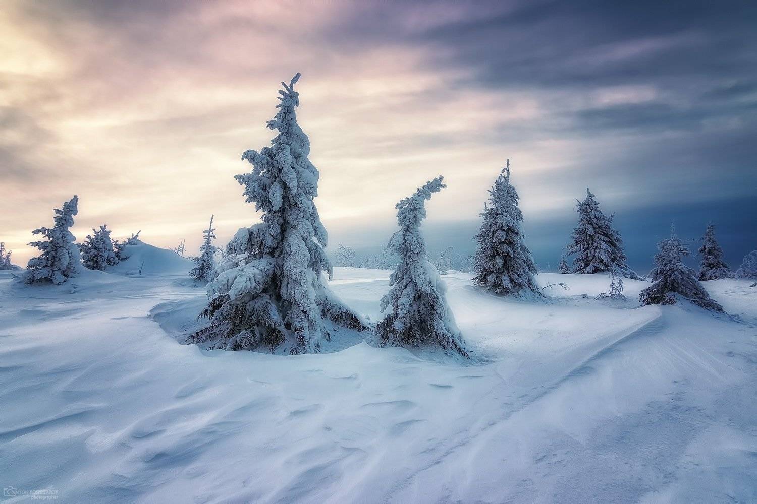 , Антон Кошетаров