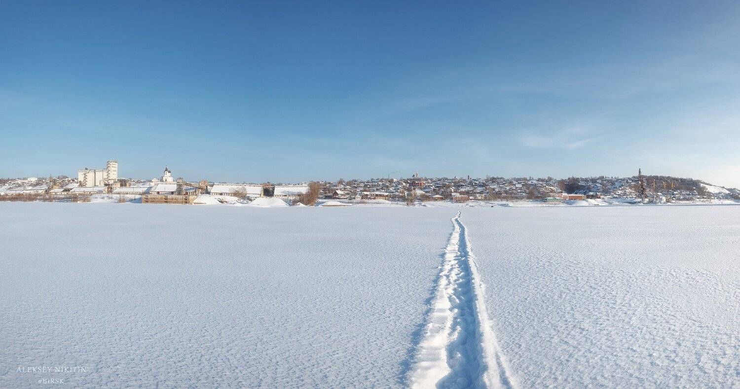 , Алексей Никитин