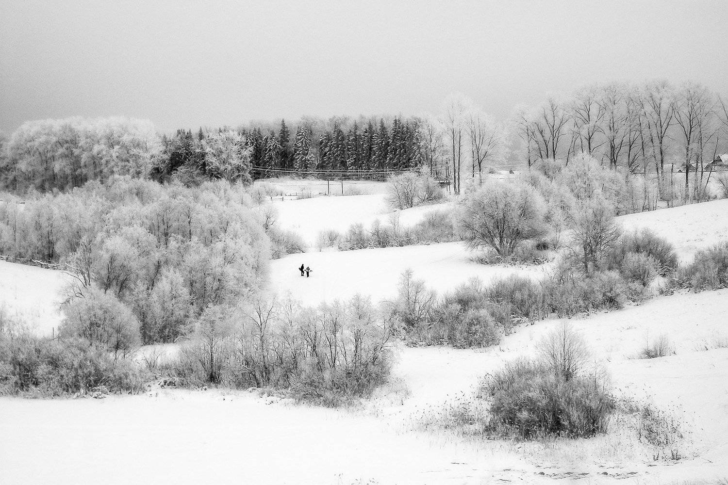 валдай, Тимофей Шутов